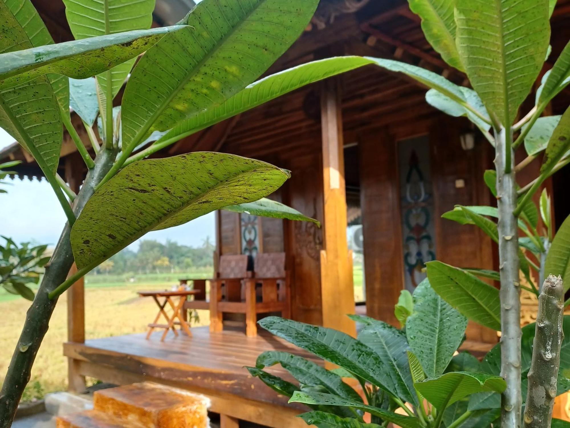 Bujak Permai Villa Matahari Lombok Ntb Praya Exterior photo